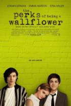 壁花少年[无字片源].The.Perks.Of.Being.A.Wallflower.2012.1080p.SHO.WEB-DL.DD.5.1.H.264-Dr