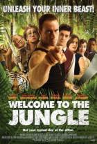 欢迎来到丛林/欢迎到丛林来 Welcome.To.The.Jungle.2013.LIMITED.1080p.BluRay.x264-VeDeTT 6.56GB
