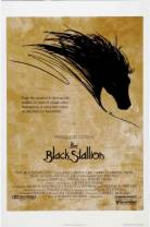 黑神驹/沙漠黑驹 The.Black.Stallion.1979.REMASTERED.1080p.BluRay.x264-SADPANDA 12.03GB