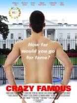 疯狂成名记 Crazy.Famous.2017.1080p.BluRay.x264.DTS-FGT 6.88GB