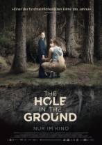 地面之洞/婴魂不散 The.Hole.in.the.Ground.2019.1080p.BluRay.REMUX.AVC.DTS-HD.MA.5.1-FGT 2