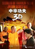 中华功夫 Secrets.of.Shaolin.with.Jason.Scott.Lee.2012.1080p.BluRay.x264-PussyFoot 4.