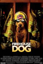 消防犬/我家也有消防狗 Firehouse.Dog.2007.1080p.WEBRip.x264-RARBG 2.12GB