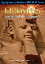 木乃伊之法老的秘密/木乃伊:法老的秘密 IMAX.Mummies.Secrets.Of.The.Pharaohs.2011.1080p.BluRay.x264-