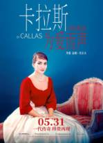 卡拉斯：为爱而声[简繁英字幕].Maria.by.Callas.2017.BluRay.1080p.DTS.MA5.1.x265.10bit-DreamHD 8