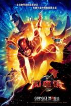 闪电侠[国英多音轨/中文字幕/特效字幕].The.Flash.2023.HD1080P.x265.10bit.AAC.Mandarin&English.