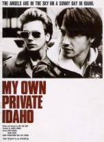 我自己的爱达荷[简繁英字幕].My.Own.Private.Idaho.1991.Criterion.Collection.BluRay.1080p.DTS-H