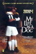 狗脸的岁月[简繁英字幕].My.Life.as.a.Dog.1985.Criterion.Collection.BluRay.1080p.LPCM.1.0.x2