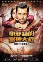 小萝莉的猴神大叔[国语配音/中文字幕/特效字幕].Bajrangi.Bhaijaan.2015.REPACK.Bluray.1080p.AAC2.0.x264-