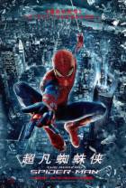 超凡蜘蛛侠[国英多音轨/简繁英字幕].The.Amazing.Spider-Man.2012.1080p.AMZN.WEB-DL.DDP5.1.H264-MOM