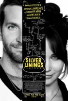 乌云背后的幸福线[中文字幕].Silver.Linings.Playbook.2012.1080p.iTunes.WEB-DL.DD5.1.H264-BATWE