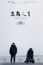 及格人生[国语配音/中文字幕].Imperfect.Perfect.Life.2021.1080p.WEB-DL.H264.AAC-MOMOWEB 0.74GB
