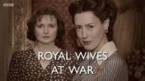战争中的皇家之妻[中文字幕].Royal.Wives.at.War.2016.1080p.WEB-DL.H264.AAC-SONYHD 1.30GB