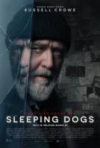 沉睡烈犬[中文字幕].Sleeping.Dogs.2024.1080p.Hami.WEB-DL.H264.AAC-BATWEB 5.94GB
