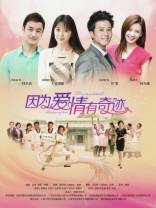 因为爱情有奇迹[第29-33集][国语配音/中文字幕].Because.Love.Is.a.Miracle.S01.2014.1080p.WEB-DL.DDP2