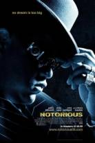匪帮说唱传奇[简繁英字幕].Notorious.2009.1080p.BluRay.DTS.5.1.x265-GPTHD 10.76GB